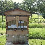 Giardino Di Limoni Eco Friendly Villa Lido di Noto