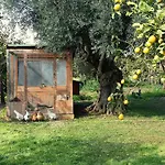 Villa Giardino Di Limoni Eco Friendly