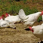 Villa Giardino Di Limoni Eco Friendly Lido di Noto