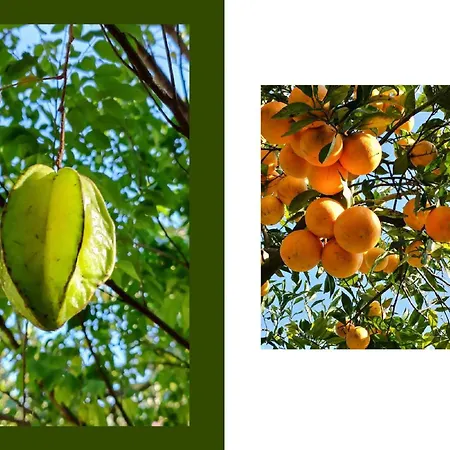 Hiresicily - Giardino Di Limoni Villa