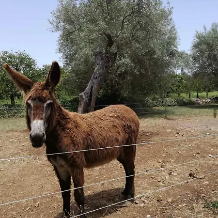 Hiresicily - Giardino Di Limoni Villa